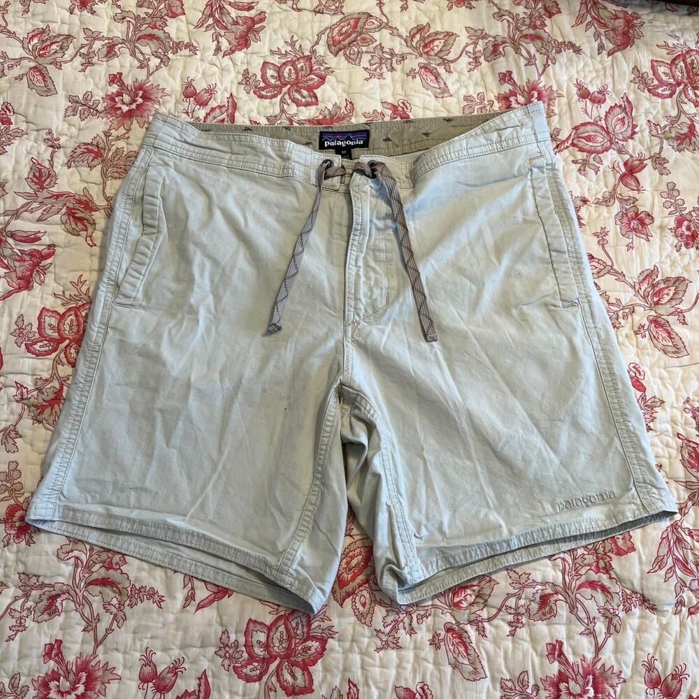 Patagonia Men's Shorts
